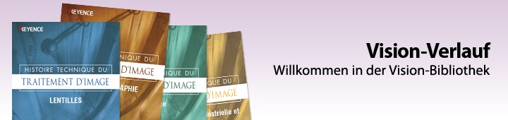 Vision-Verlauf