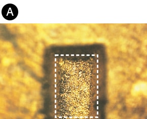 A: Fokus auf dem höchsten Punkt  B: Fokus auf dem mittleren Punkt  C: Fokus auf dem niedrigsten Punkt 