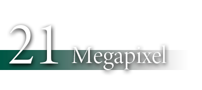 21 Megapixel