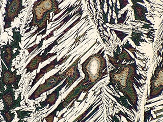 Metallgefüge (800x)