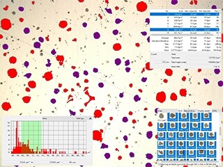 Flächenverhältnis der Sphäroidisierung von Graphit
