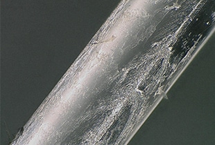 Betrachtung von Glasfasern mit einem Digitalmikroskop
