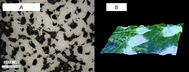 A. Analyse der verblassten Probe (300x) B. 3D-Formmessung der verblassten Probe