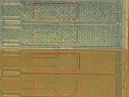 Beleuchtung mit Differential-Interferenz-Kontrast (DIK)