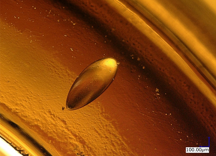 Ringbeleuchtung + Tiefenzusammensetzung (150x)