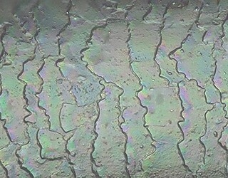 Betrachtung der Haarkutikula mit optischem Schatteneffekt-Modus