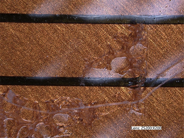 50×, Ringbeleuchtung