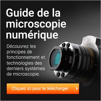 Microscopes électroniques à balayage - Scientec