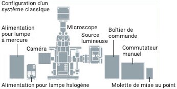 MICROSCOPE CONFOCAL A FLUORESCENCE