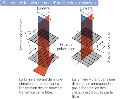 Schéma de fonctionnement d’un filtre de polarisation