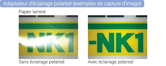 Adaptateur d’éclairage polarisé (exemples de capture d’image)