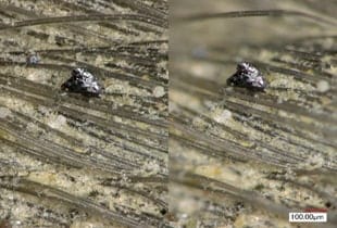 Observation et mesure de composants de véhicule électrique (EV) au microscope numérique