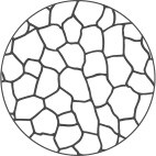 Taille des grains numéro 4