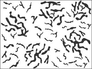 Classification du facteur de rondeur