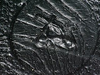 Image normale (100x)