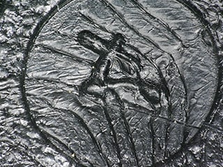 Éclairage multiple (100x)