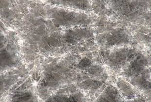 Observation et mesure de nanofibres au microscope numérique