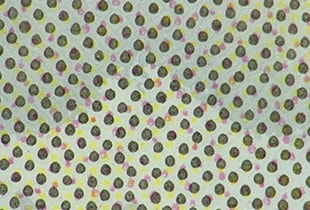 Capture d'image et analyse d’impressions offset avec un microscope numérique