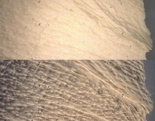 Haut : image classique, bas : image avec éclairage multiple