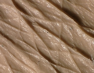 Image du grain de peau avec éclairage multiple (peau factice)