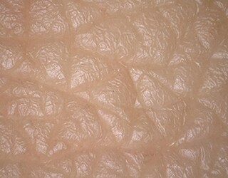 Image du grain de peau avec éclairage multiple (peau factice)