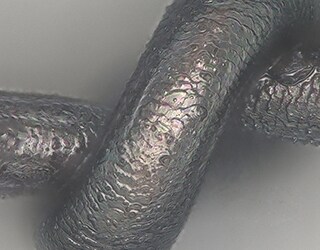 Cheveu normal (1000x)