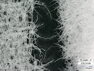 Observation de fibres sous faible grossissement (100x)