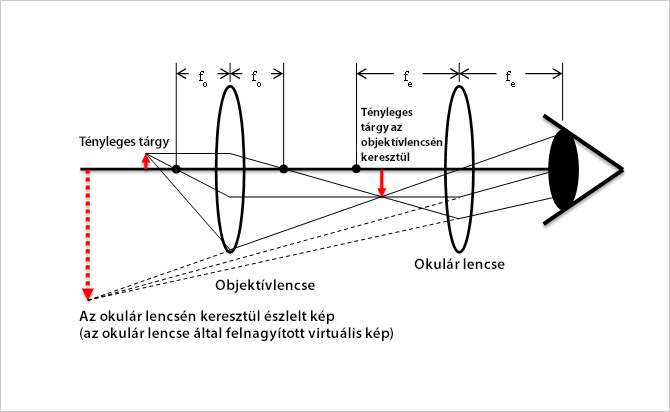 Mikroszkóp működési elve