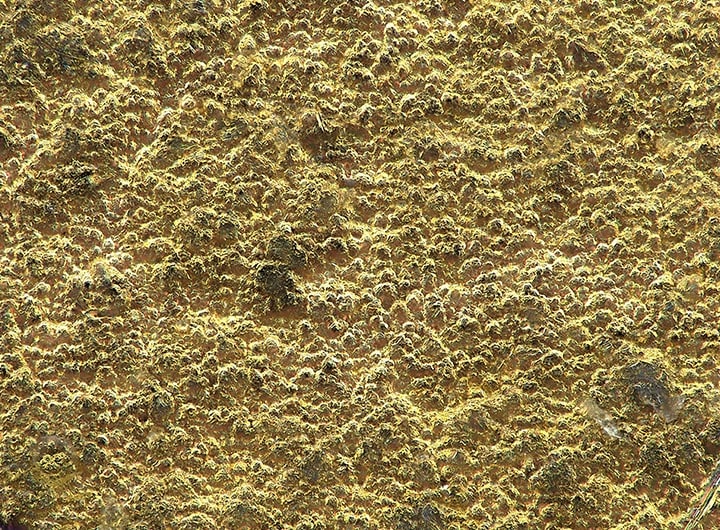 Aranyozott fémfelület (1000×)
