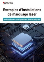 Exemples d’installations de marquage laser [Industrie des composants électroniques]