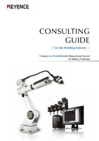 CONSULTING GUIDE: For the Welding Industry (English)