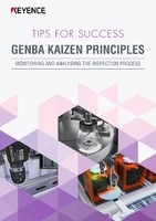 TIPS FOR SUCCESS: GENBA KAIZEN PRINCIPLES [MONITORING AND ANALYZING THE INSPECTION PROCESS] (English)