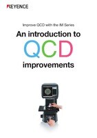 IM Series Introduction to QCD improvement