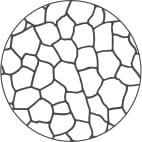 Korrelgroottegetal 4