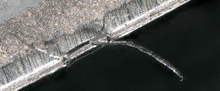 Volledig scherpgesteld beeld van een braam die met de 4K digitale microscoop uit de VHX-reeks is vastgelegd