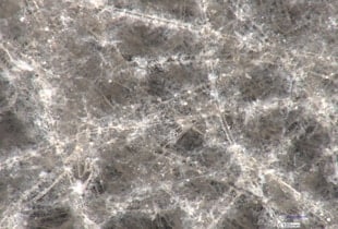 Waarnemen en meten van nanovezels met digitale microscopen
