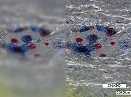 Links: normaal/rechts: dieptecompositie (200×)