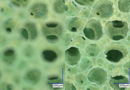 Sterk vergrote waarneming Links: zonder dieptecompositie, rechts: met dieptecompositie (200×)