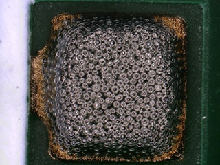 Waarneming van soldeerpasta met de 4K digitale microscoop uit de VHX-reeks