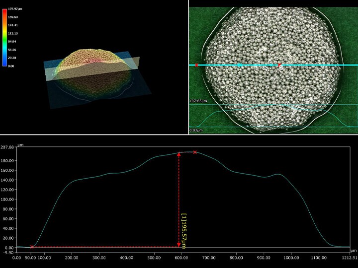 Ringverlichting (300x) + 3D-meting en profielmeting in zowel de bovenstaande als de onderstaande voorbeelden